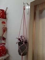 Tradescantia Nanouk in hanger, Ophalen, Overige soorten, Minder dan 100 cm