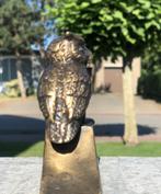Uilen in het brons bronzenbeelden-winkel vanaf 49.95...., Ophalen of Verzenden