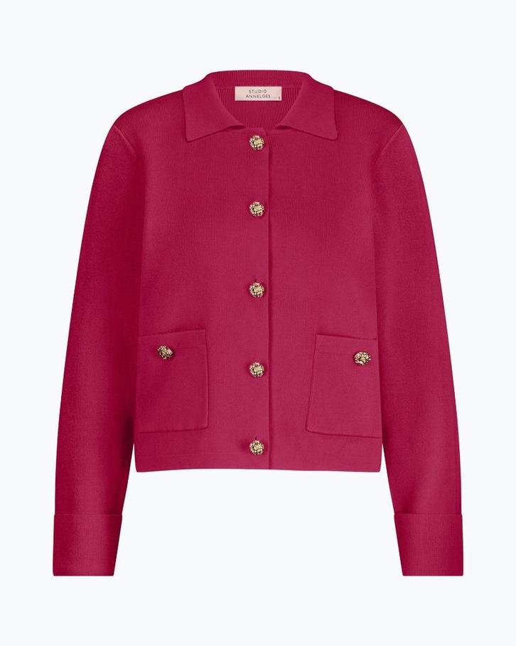 STUDIO ANNELOES vest CLASSY uitstraling NEW -M- TIEN Insta, Kleding | Dames, Truien en Vesten, Nieuw, Maat 38/40 (M), Roze, Ophalen of Verzenden