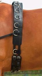 Longeersingel Busse professional leder zgan, Dieren en Toebehoren, Paarden en Pony's | Hoofdstellen en Tuigage, Ophalen of Verzenden