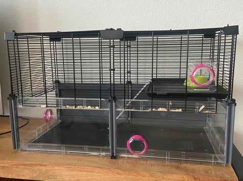 Hamsterkooi, Dieren en Toebehoren, Knaagdieren en Konijnen | Hokken en Kooien, Zo goed als nieuw, Kooi, Minder dan 60 cm, Minder dan 75 cm