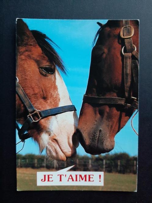 Ansicht Frankrijk met Paarden Paard / Je t'aime / KO25.79, Verzamelen, Ansichtkaarten | Dieren, Gelopen, 1980 tot heden, Paard