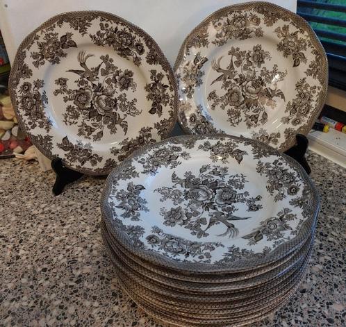 Wedgwood Asiatic Pheasants 12 grote borden Bruin Brown 25 cm, Huis en Inrichting, Keuken | Servies, Zo goed als nieuw, Bord(en)