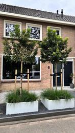 Stalen micto bloembakken in elke maat, 100 cm of meer, Vierkant, Nieuw, Ophalen of Verzenden