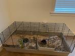 Caviahok 117x57cm incl toebehoren, Dieren en Toebehoren, Knaagdieren en Konijnen | Hokken en Kooien, Kooi, Zo goed als nieuw, 75 tot 110 cm