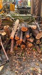 Openhaard hout/kachelhout, Tuin en Terras, Haardhout, Minder dan 3 m³, Ophalen, Stammen