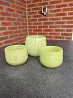 DutZ windlicht / pot / bloempot - lichtgroen - nieuw - 3 st., Overige materialen, Nieuw, Ophalen of Verzenden, Groen