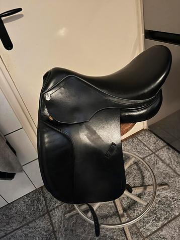Massimo Basso dressuurzadel 16 inch met franse kussens beschikbaar voor biedingen