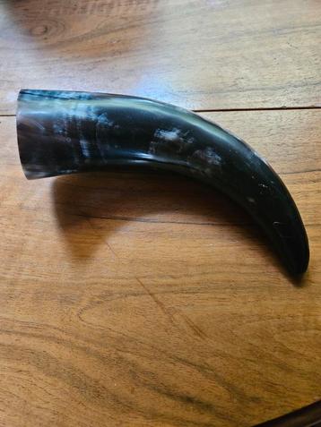Koe of stierhorn  beschikbaar voor biedingen