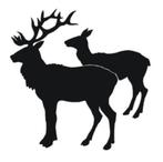 Muursticker figuursticker decoratiesticker hertjes, The River House, Info@theriverhouse.nl, Nieuw, Ophalen of Verzenden