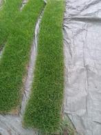 Top kwaleit graszoden, Ophalen, Petra, 20 m² of meer, Nieuw