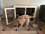 Ren, Dieren en Toebehoren, Ophalen, 110 cm of meer, Minder dan 65 cm, Hondenhok