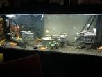 Te koop boot, Ophalen, Zo goed als nieuw, Leeg aquarium