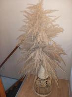 Volle pampaspluim incl rieten vaas, Ophalen, Zo goed als nieuw