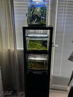 3 aquarium’s met garnalen en accesoires, Dieren en Toebehoren, Ophalen, Gebruikt, Gevuld zoetwateraquarium