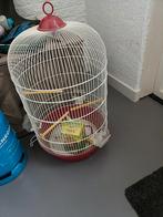 Vogelkooi, Dieren en Toebehoren, Ophalen, Zo goed als nieuw, Metaal, Vogelkooi