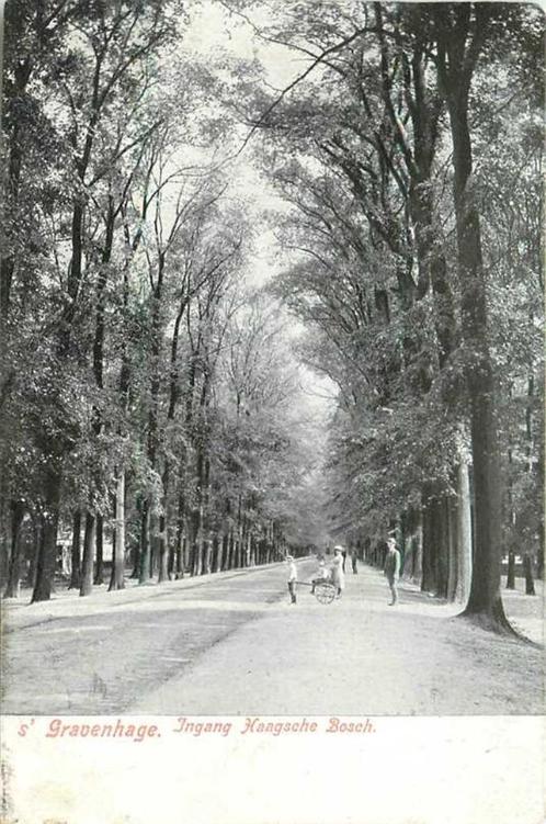 (380-232-005) Den Haag Ingang Haagsche Bosch, Verzamelen, Ansichtkaarten | Nederland, Zuid-Holland, Verzenden