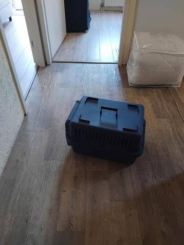 Te koop transport box voor kat  beschikbaar voor biedingen