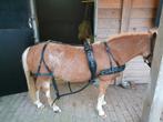 Te koop leren enkelspantuig maat pony, Dieren en Toebehoren, Paarden en Pony's | Hoofdstellen en Tuigage, Ophalen of Verzenden