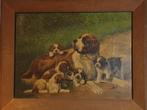 Schilderij van St. Bernard hond met pups, Ophalen of Verzenden