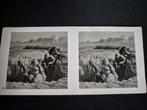 Originele Duitse Wehrmacht Foto - Der Kampf im Westen, Verzamelen, Ophalen of Verzenden, Landmacht, Duitsland, Foto of Poster