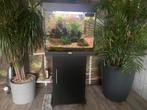 Juwel aquarium, zeer compleet, Ophalen, Zo goed als nieuw, Gevuld zoetwateraquarium
