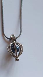 Ketting met hanger met zwarte parel erin, Sieraden, Tassen en Uiterlijk, Kettingen, Ophalen of Verzenden, Met hanger