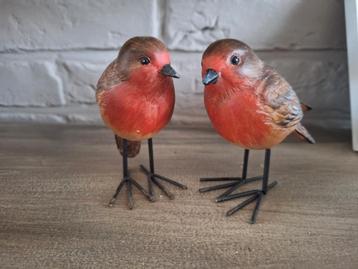 Twee Roodborstjes Loberon beschikbaar voor biedingen