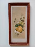 Japanse tekening kleurenlitho pompoen, Ophalen of Verzenden