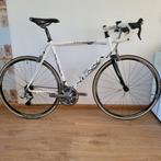 Sensa Trentino  58cm   Full Ultegra, Fietsen en Brommers, Fietsen | Racefietsen, 28 inch, Gebruikt, Heren, Aluminium