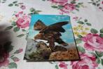 3D Stereo Postkaart - Prachtige Arend, Steenarend Japan, Verzenden, 1960 tot 1980, Ongelopen, Vogel
