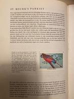 Rizla 4x prentenboeken, Boeken, Ophalen of Verzenden, Gelezen, Diverse, Prentenboek