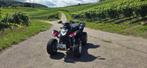 Kymco maxxer 250 automaat Quad, Motoren, Quads en Trikes, 250 cc, 1 cilinder, 12 t/m 35 kW
