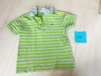 Leuke Lacoste polo maat 110, Kinderen en Baby's, Kinderkleding | Maat 110, Ophalen of Verzenden, Zo goed als nieuw, Jongen, Shirt of Longsleeve
