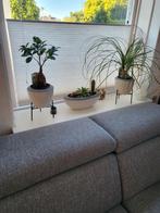 Plissé gordijn top down bottom up, Huis en Inrichting, Stoffering | Gordijnen en Lamellen, Ophalen, Zo goed als nieuw, Wit, 50 tot 100 cm