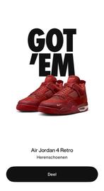Jordan 4 nigel sylvester  brick by brick 39, Ophalen of Verzenden, Zo goed als nieuw