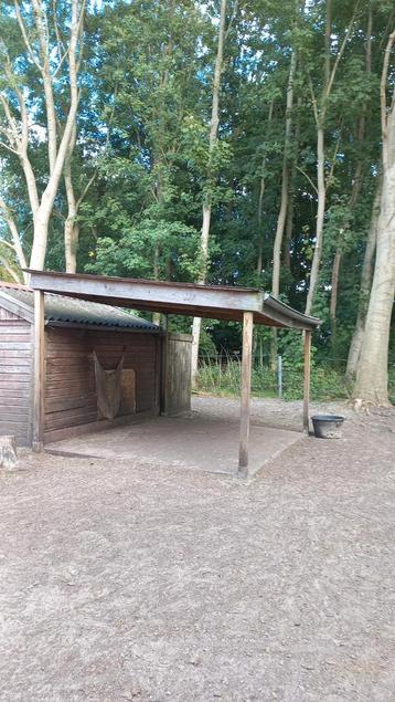 Overkapping/ schuilgelegenheid paarden/pony's te koop beschikbaar voor biedingen