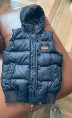 bodywarmer moscow maat s, Kleding | Heren, Ophalen of Verzenden, Zo goed als nieuw