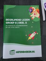 Begrijpend Lezen groep 8 deel 2, Boeken, Ophalen of Verzenden, Alpha, Zo goed als nieuw, HBO