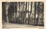 Hotel Nunspeet. - Nunspeet. - 1920 gelopen, Ophalen of Verzenden, Voor 1920, Gelopen, Gelderland