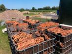 Dakpannen ohv bruin. Gelakt, Doe-het-zelf en Verbouw, Dakpannen en Dakbedekking, Ophalen, Steen of Klei, Zo goed als nieuw, 15 m² of meer