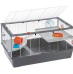 Nieuw Ferplast Critici 100 Hamsterkooi / Knaagdierenkooi, Minder dan 60 cm, Kooi, Nieuw, Ophalen of Verzenden
