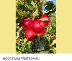 APPELBOMEN, Tuin en Terras, Planten | Fruitbomen, Lente, Appelboom, Volle zon, 100 tot 250 cm