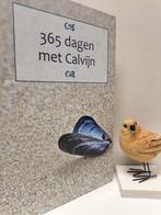 Calvijn, Joh. ; 365 dagen met Calvijn (Dagboek), Boeken, Ophalen of Verzenden, Gelezen, Christendom | Protestants