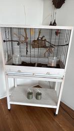 Zes zeebravinken met kooi en toebehoren, Ophalen, Zo goed als nieuw, Hout, Vogelkooi