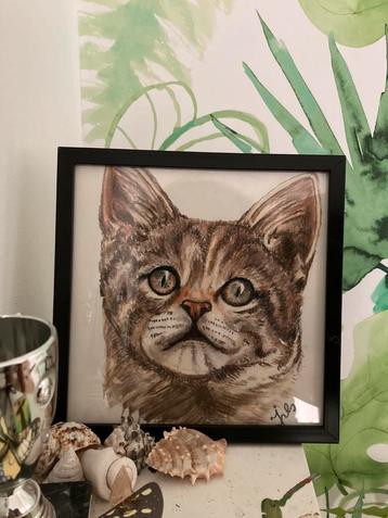 Portret Tommy de kat