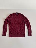 H&M Merino wollen trui bordeaux - Maat L, Maat 52/54 (L), Ophalen of Verzenden, H&M, Gedragen