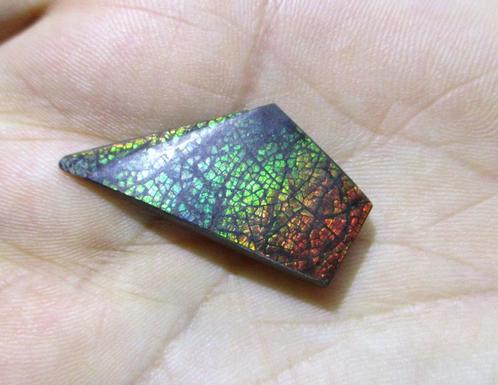 AAA - Natural drakenvel - Ammolite Fire Opaal, Sieraden, Tassen en Uiterlijk, Edelstenen, Nieuw, Ophalen of Verzenden