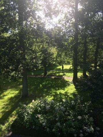 Exclusieve pensionstal Stal de Paltzerhoeve krijgt stal vrij beschikbaar voor biedingen
