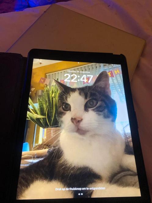 Ipad., Computers en Software, Apple iPads, Gebruikt, Apple iPad, Wi-Fi, 10 inch, 32 GB, Grijs, Ophalen